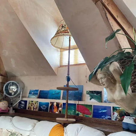 Daire La Petite Sirene *