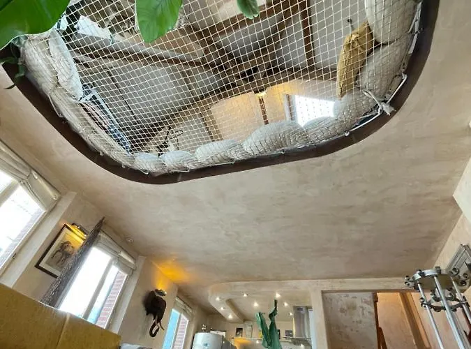 Appartement La Petite Sirene